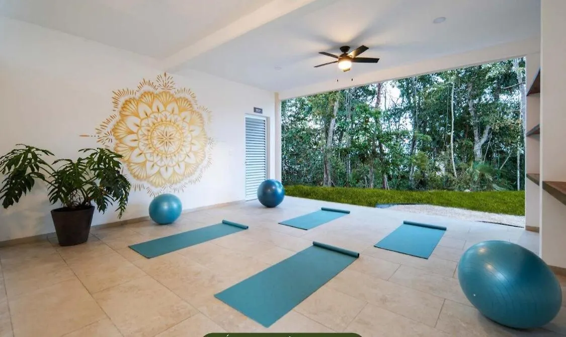 Apartment Comfortable And Attractive Puerto Morelos